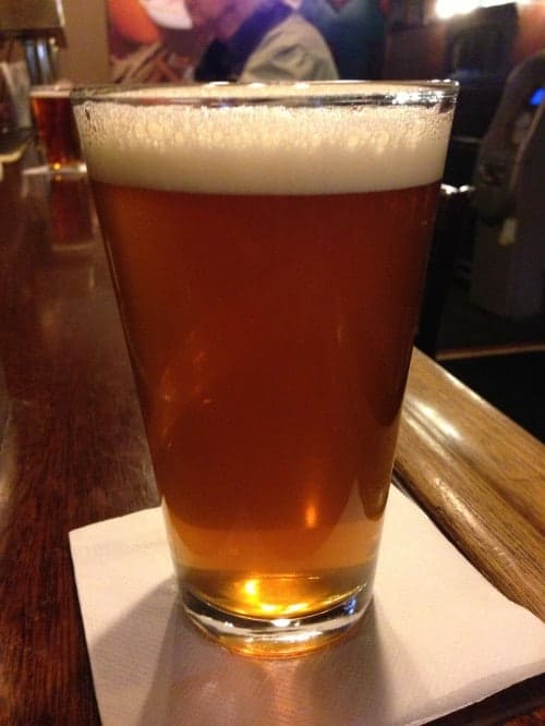Town Hall Brewery Mango Mama Pint